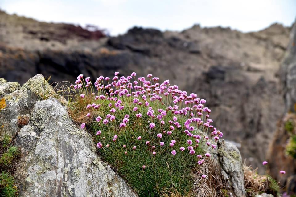 Luxuszelt Bulle D'amour A 500 M De La Cancale